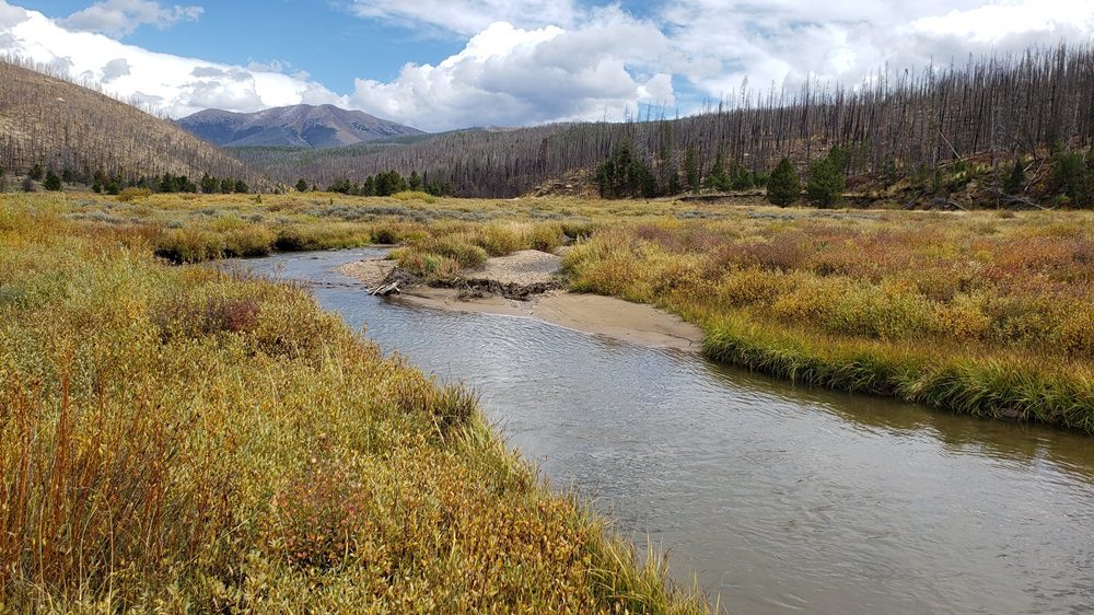 Syndicated Conservation Easement Transactions