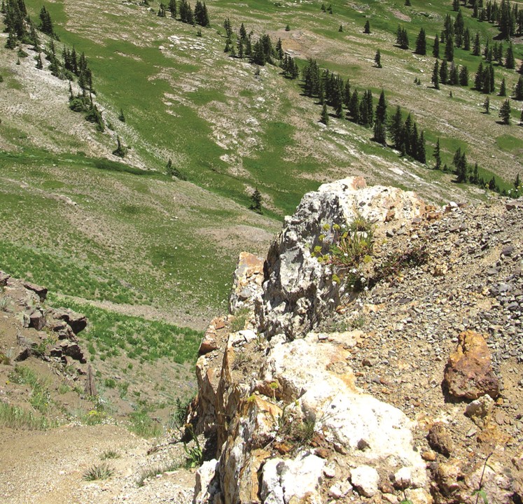 Mineralized vein outcrop in the Elk Creek basin near Irwin, Colorado (USGS, 2010).