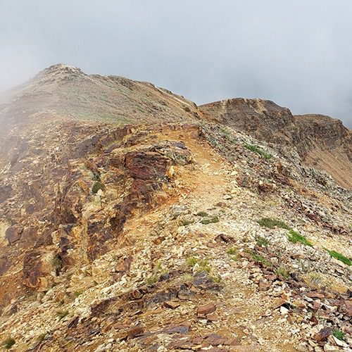 Mt. Emmons Mineral Potential Report