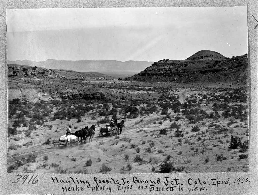 Victor Barnett and Elmer Riggs and hauling specimens in No Thoroughfare Canyon.